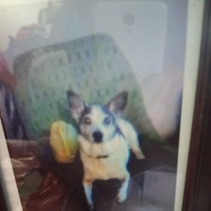 Meet your Posher, Mona